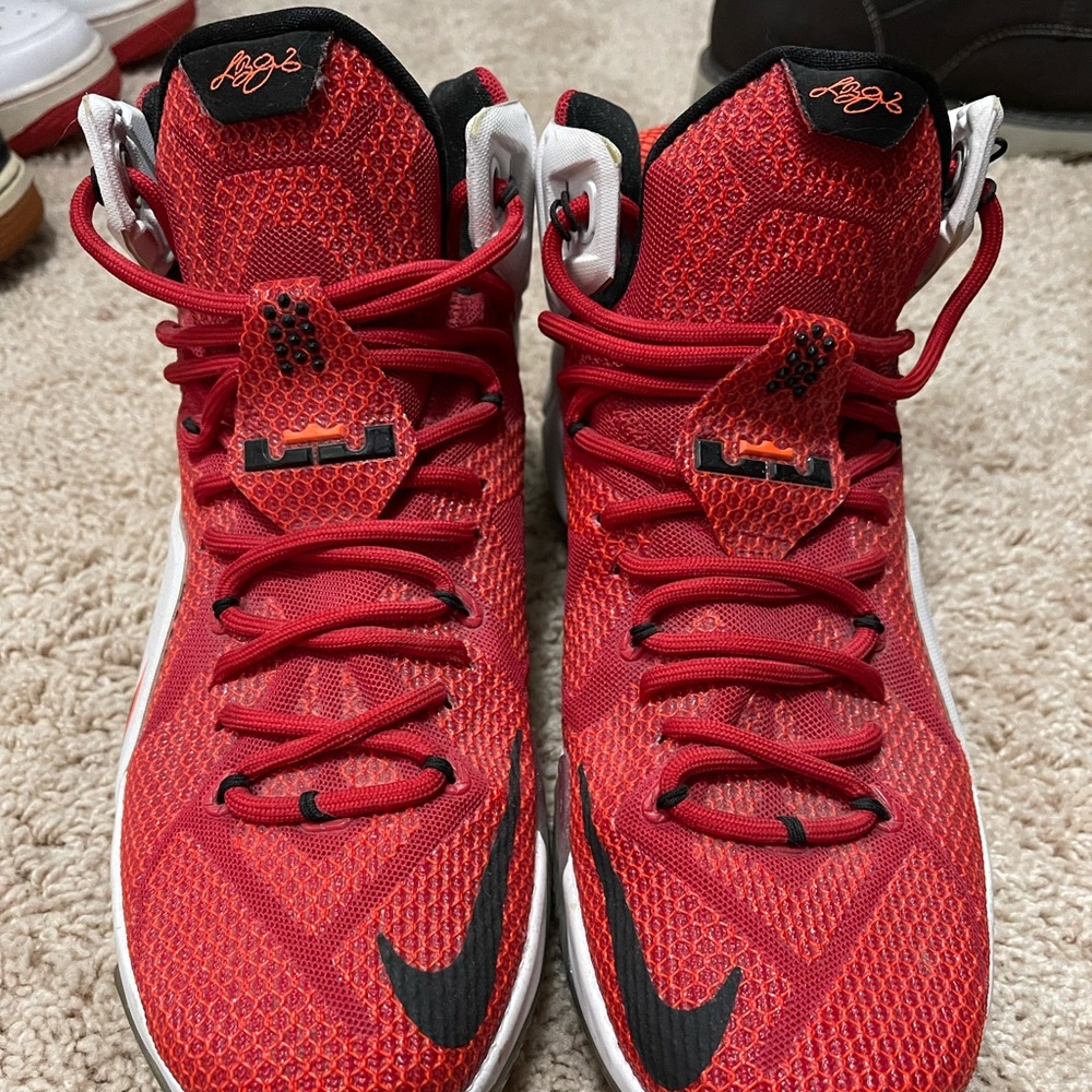 Nike Lebrun Lionheart